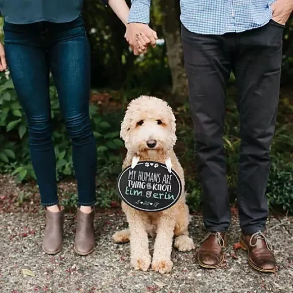 NWT Pet Wedding Announcement Chalkboard - Picture 2 of 3
